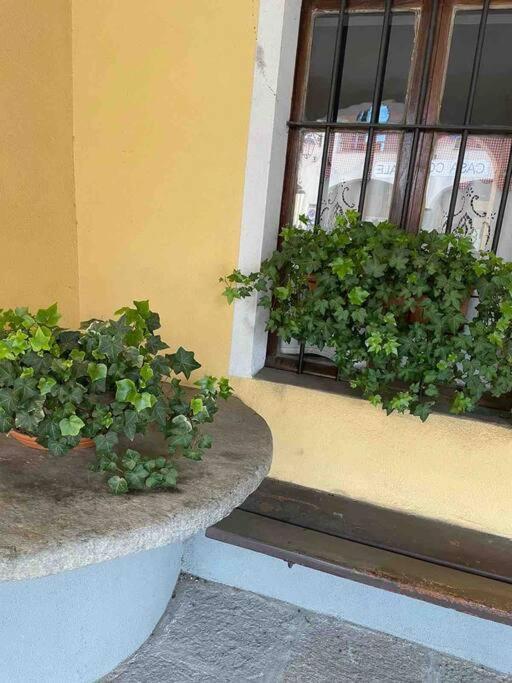 Appartamento “Sut L'Ala” Netro Dış mekan fotoğraf